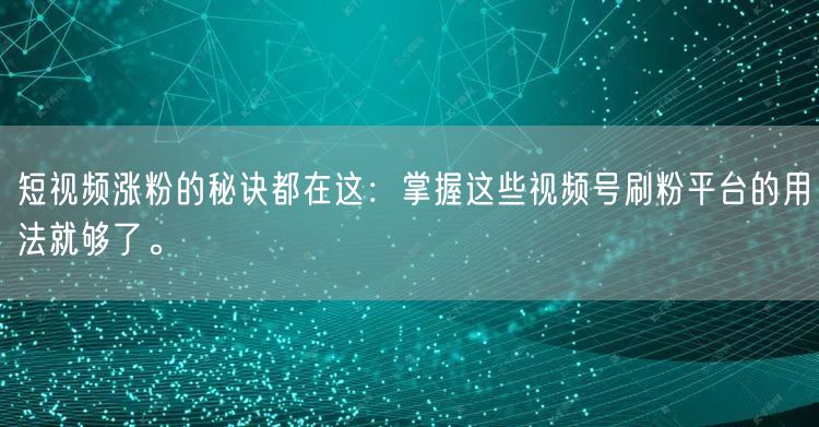 短视频涨粉的秘诀都在这：掌握这些视频号刷粉平台的用法就够了。