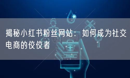 揭秘小红书粉丝网站：如何成为社交电商的佼佼者