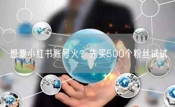 想要小红书账号火？先买500个粉丝试试