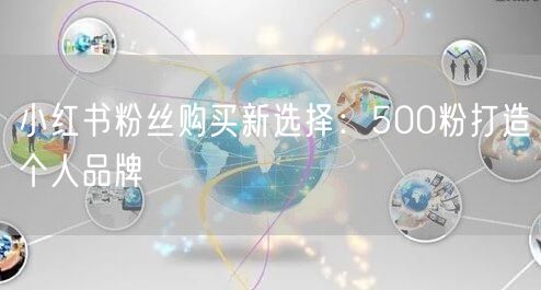 小红书粉丝购买新选择：500粉打造个人品牌