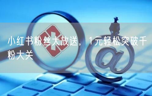 小红书粉丝大放送，1元轻松突破千粉大关