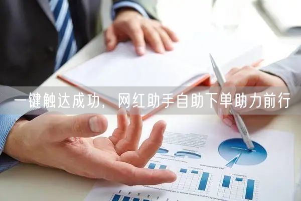 一键触达成功，网红助手自助下单助力前行