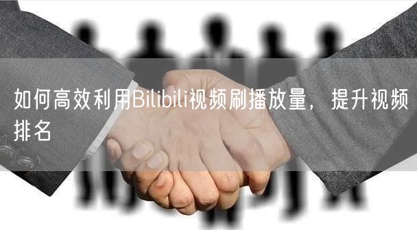 如何高效利用Bilibili视频刷播放量，提升视频排名