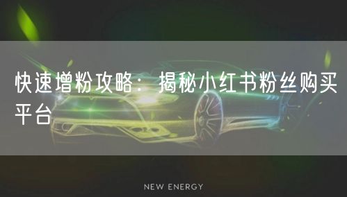快速增粉攻略：揭秘小红书粉丝购买平台