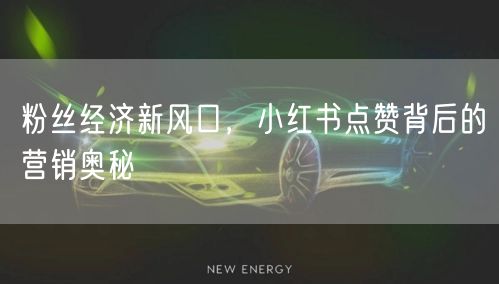 粉丝经济新风口，小红书点赞背后的营销奥秘