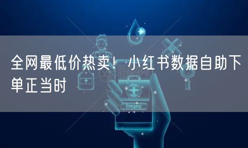 全网最低价热卖！小红书数据自助下单正当时