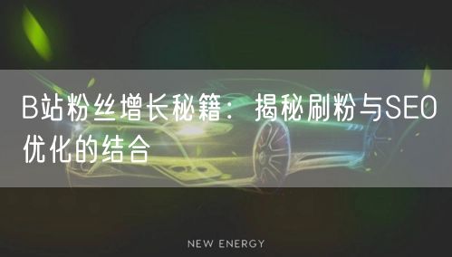 B站粉丝增长秘籍：揭秘刷粉与SEO优化的结合